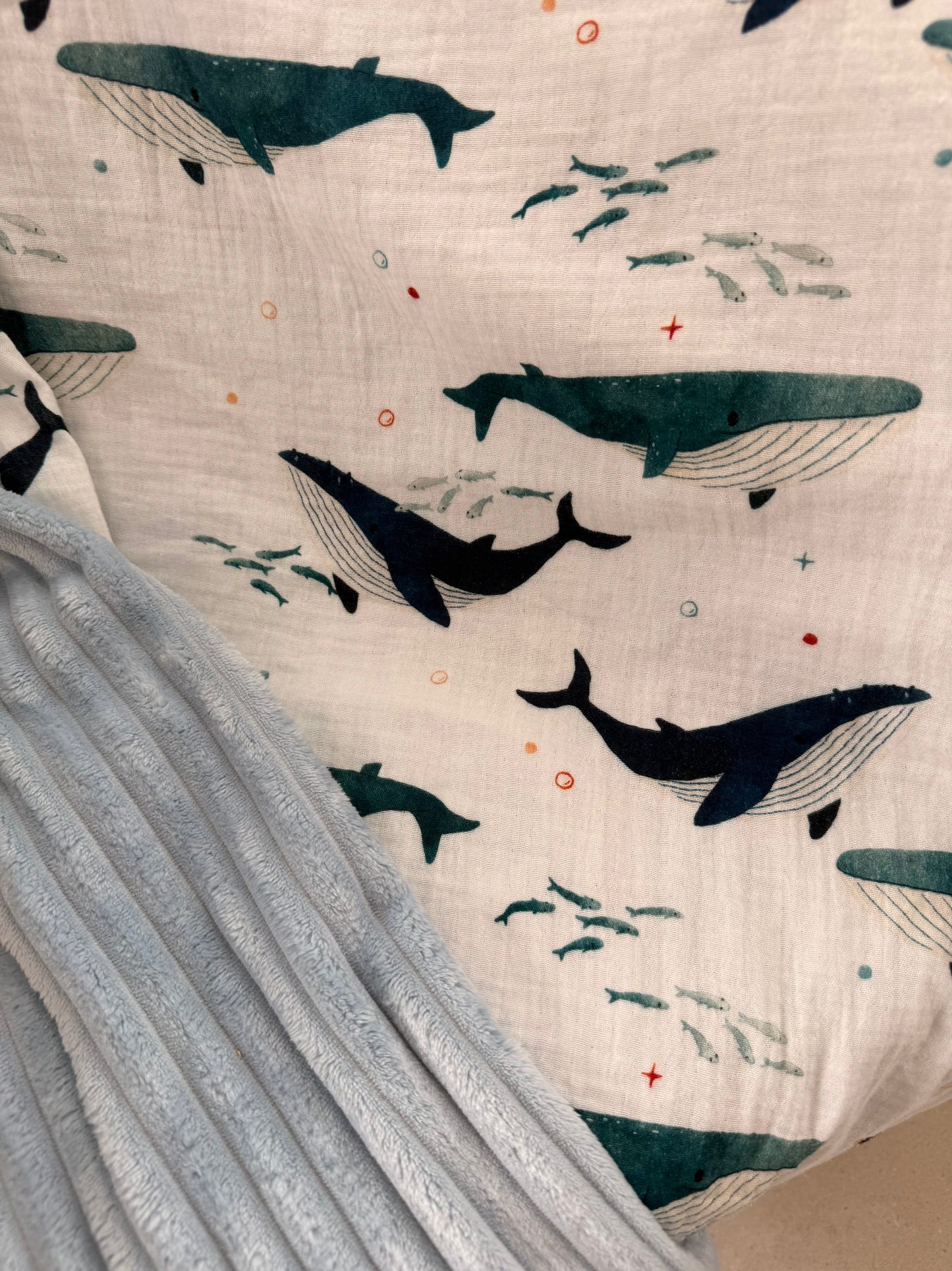 Doudou baleine