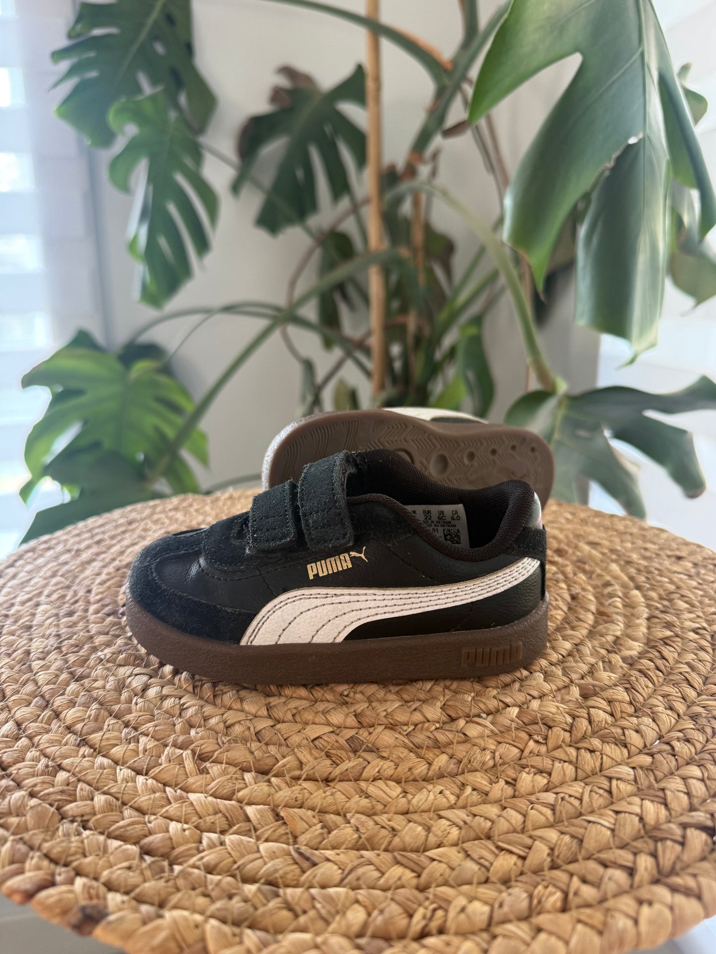 Puma Gr: 6C