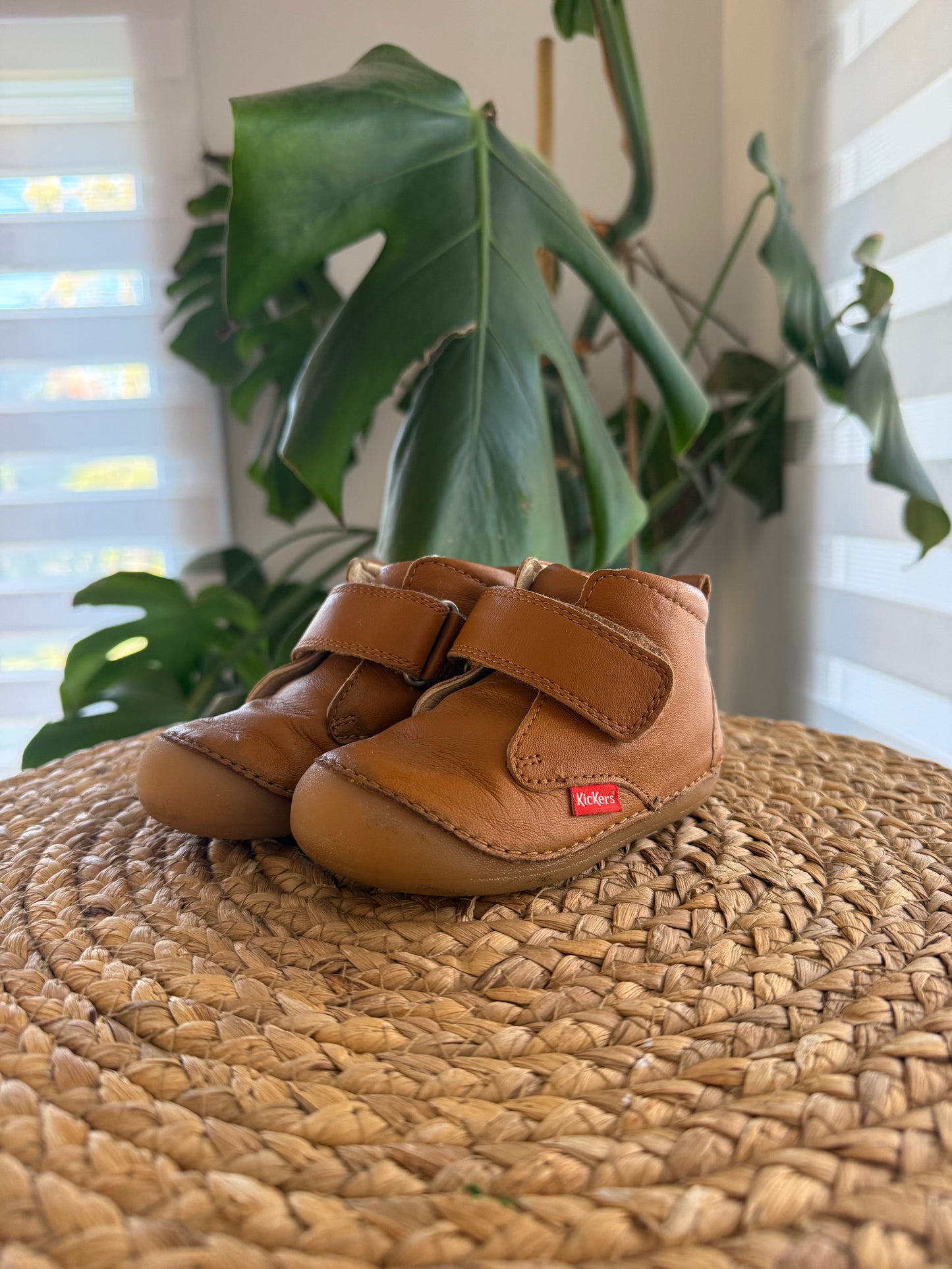 Soulier kickers C5