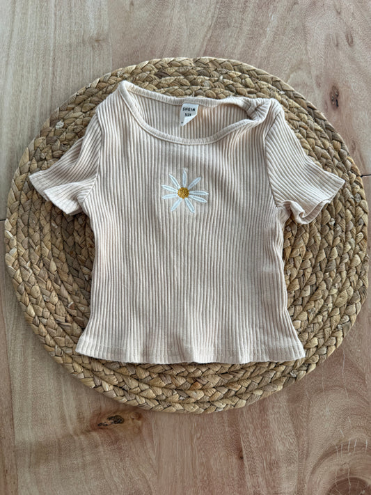 Chandail shein 4T ( fait petit )