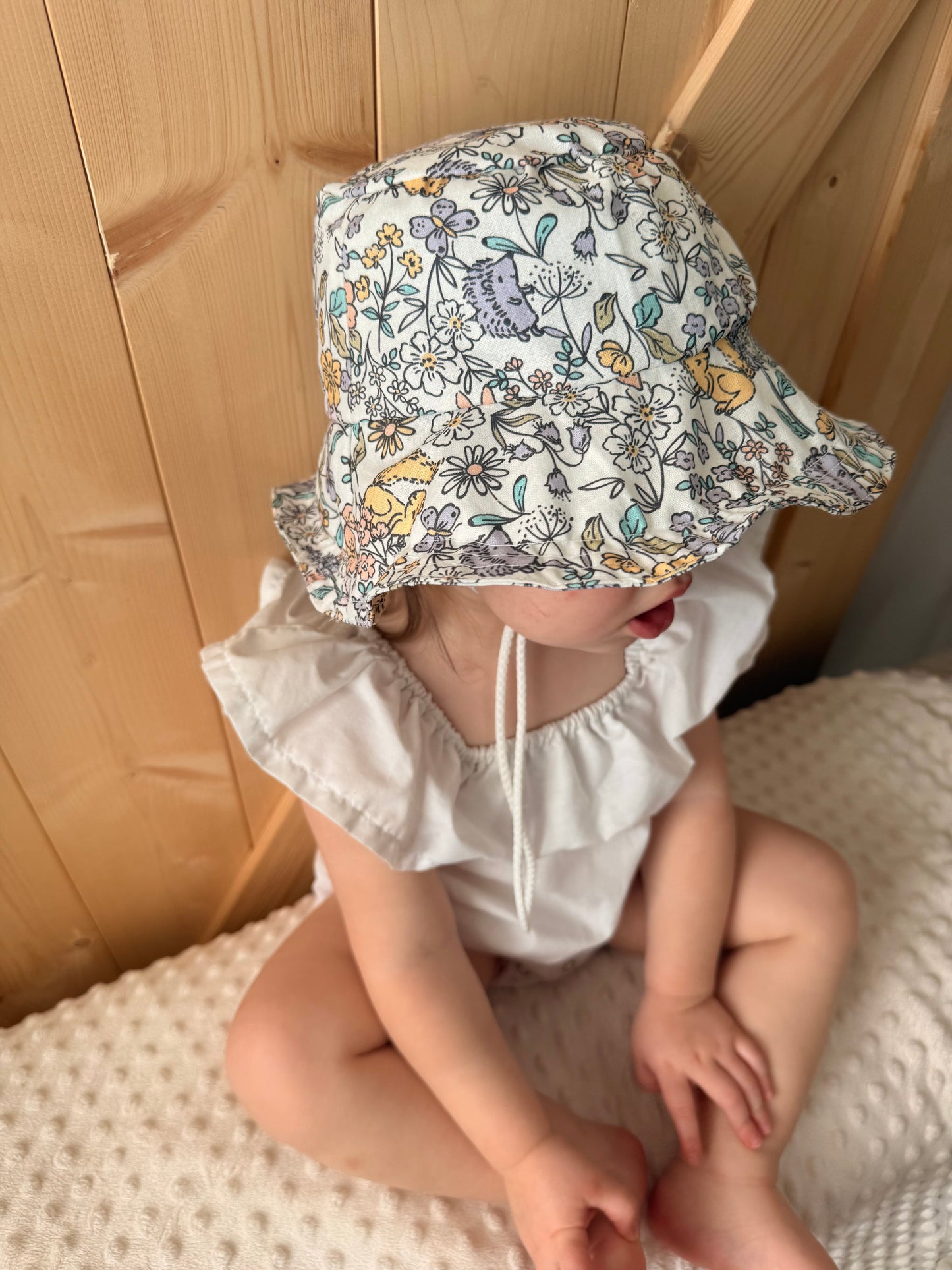 Les animaux enchanté