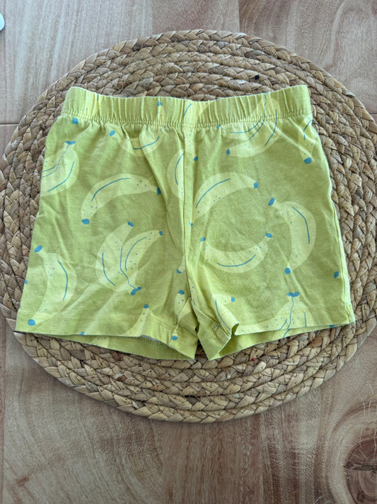 Short Joe Fresh 12 mois