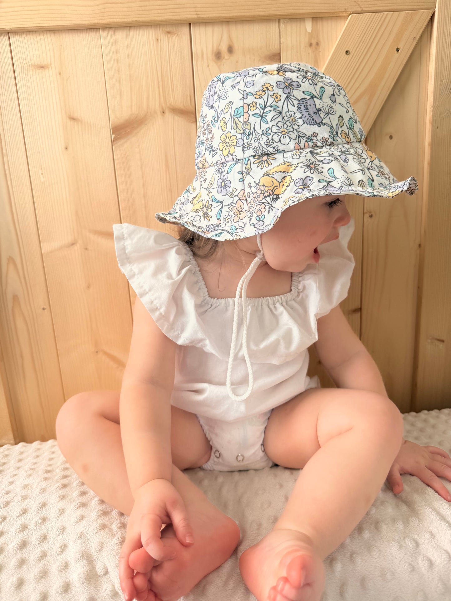 Les animaux enchanté