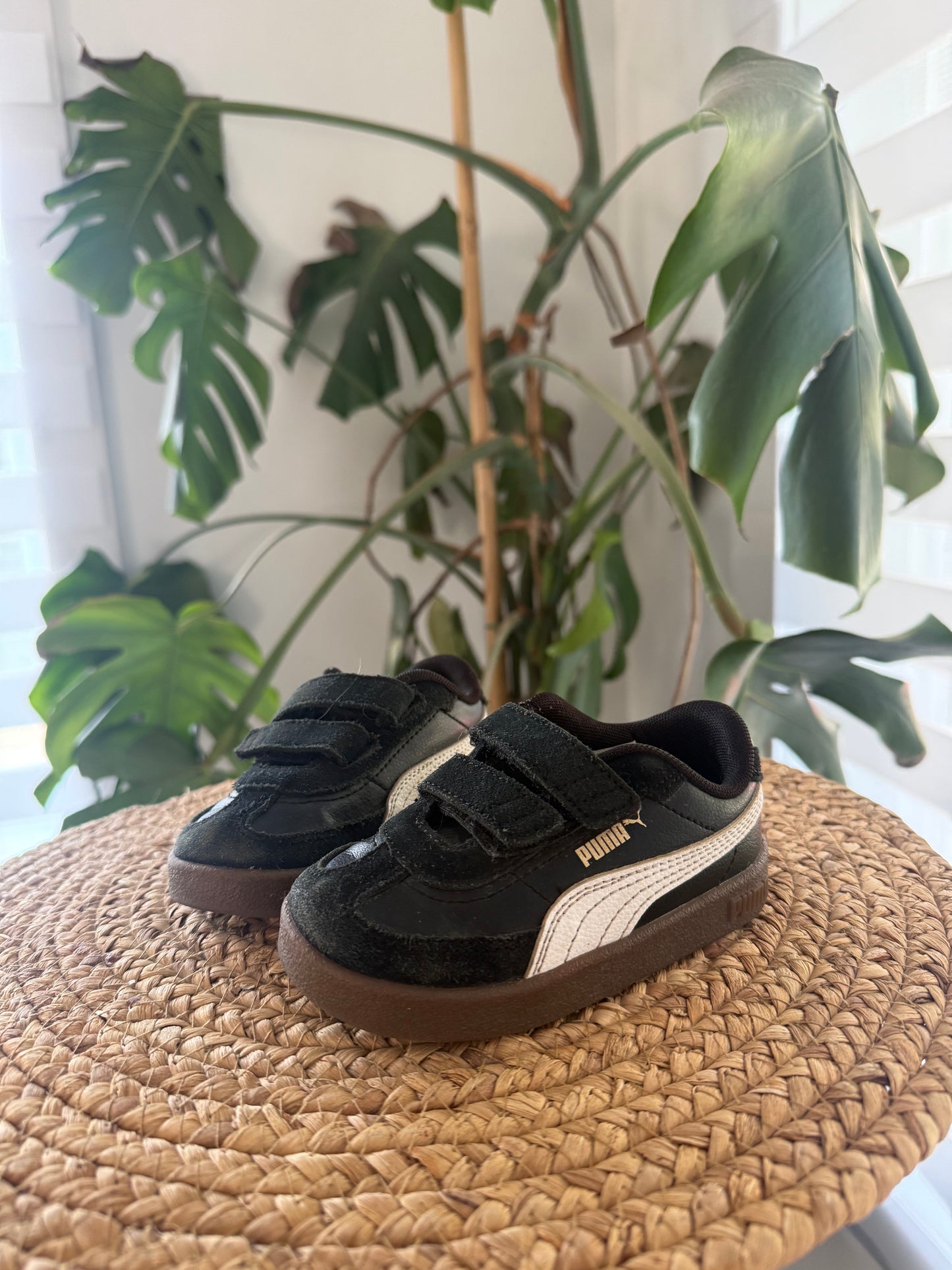 Puma Gr: 6C